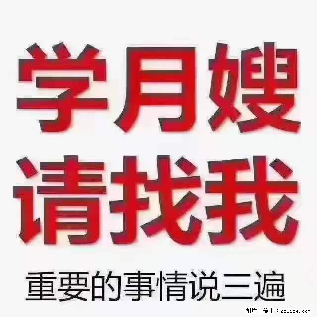 为什么要学习月嫂,育婴师? - 其他广告 - 广告专区 - 哈密分类信息 - 哈密28生活网 hami.28life.com