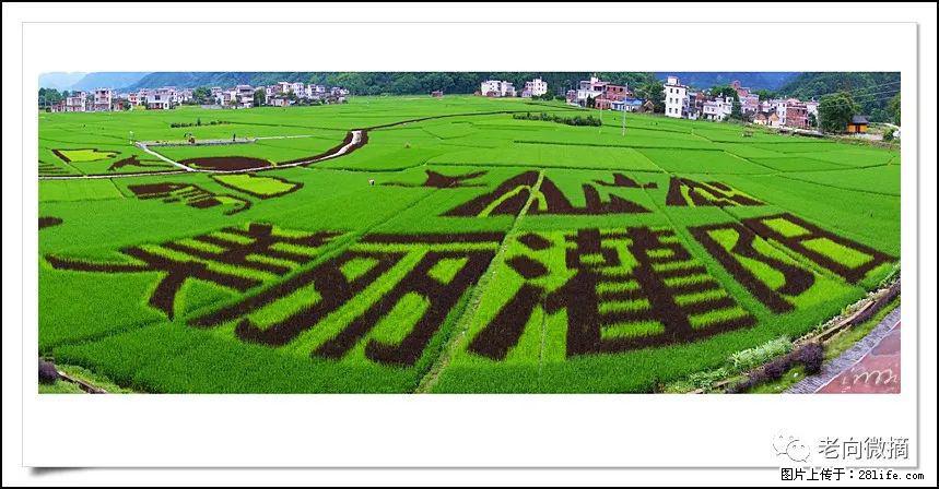 【春天,广西桂林灌阳县向您发出邀请!】开篇 - 游山玩水 - 哈密生活社区 - 哈密28生活网 hami.28life.com