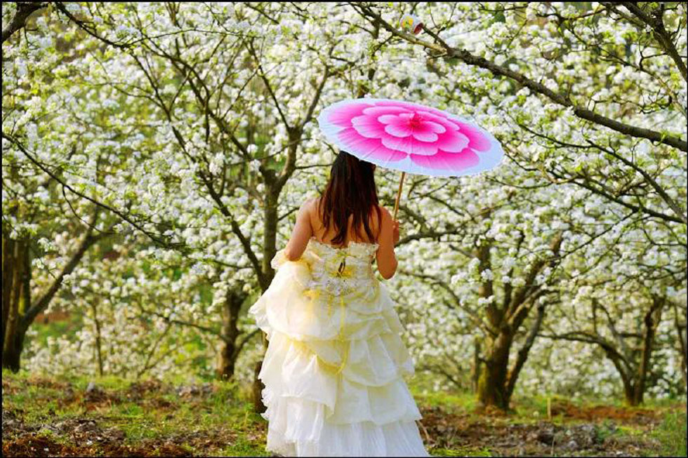 【春天,广西桂林灌阳县向您发出邀请!】我们在灌阳看梨花 - 游山玩水 - 哈密生活社区 - 哈密28生活网 hami.28life.com