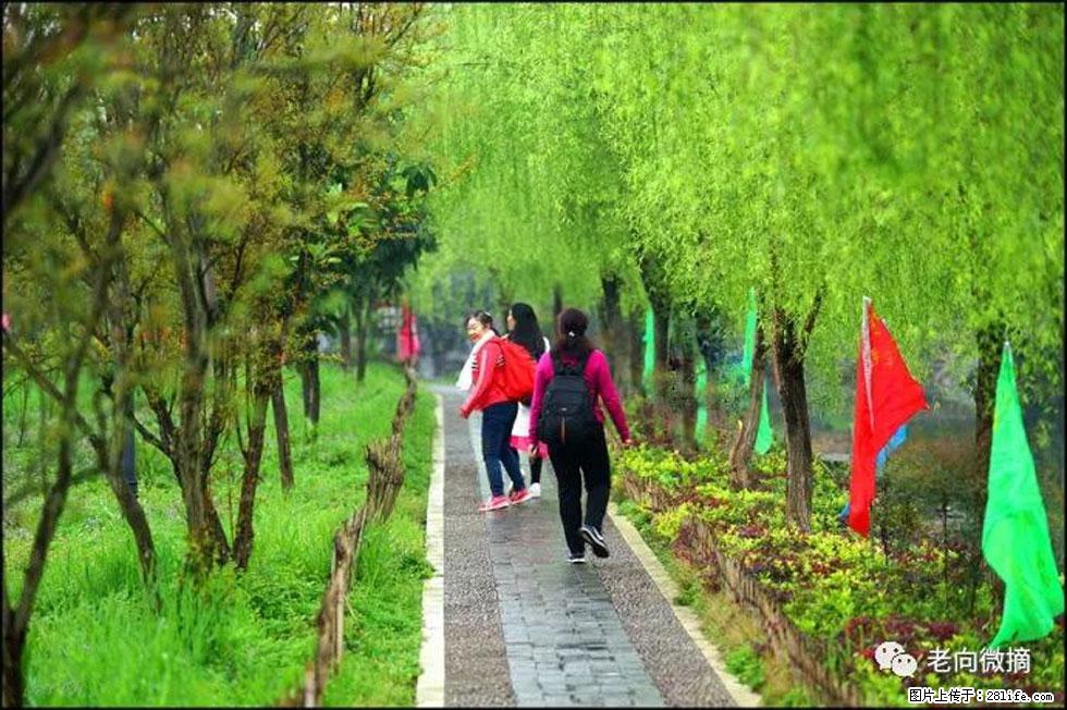 【春天，广西桂林灌阳县向您发出邀请！】江口老街又逢春 - 游山玩水 - 哈密生活社区 - 哈密28生活网 hami.28life.com