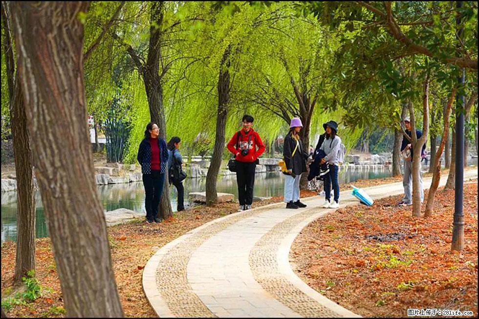 【春天，广西桂林灌阳县向您发出邀请！】江口老街又逢春 - 游山玩水 - 哈密生活社区 - 哈密28生活网 hami.28life.com