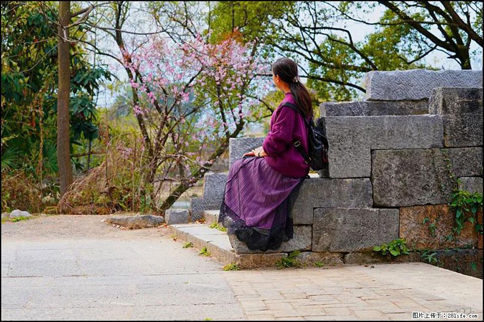 【春天，广西桂林灌阳县向您发出邀请！】江口老街又逢春 - 游山玩水 - 哈密生活社区 - 哈密28生活网 hami.28life.com