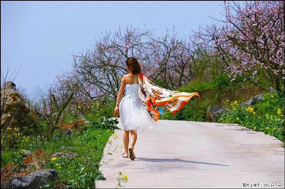 【春天,广西桂林灌阳县向您发出邀请!】望月岭上桃花开 - 游山玩水 - 哈密生活社区 - 哈密28生活网 hami.28life.com