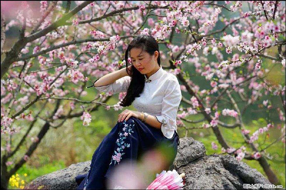 【春天,广西桂林灌阳县向您发出邀请!】望月岭上桃花开 - 游山玩水 - 哈密生活社区 - 哈密28生活网 hami.28life.com