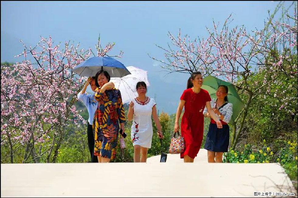【春天,广西桂林灌阳县向您发出邀请!】望月岭上桃花开 - 游山玩水 - 哈密生活社区 - 哈密28生活网 hami.28life.com
