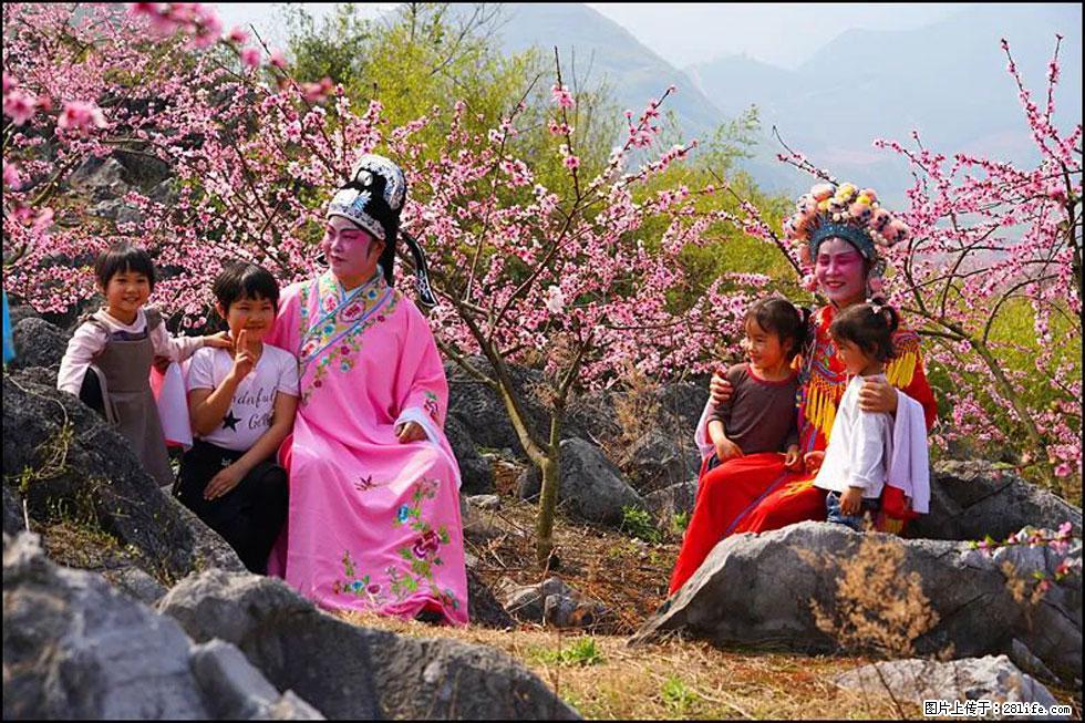 【春天,广西桂林灌阳县向您发出邀请!】望月岭上桃花开 - 游山玩水 - 哈密生活社区 - 哈密28生活网 hami.28life.com