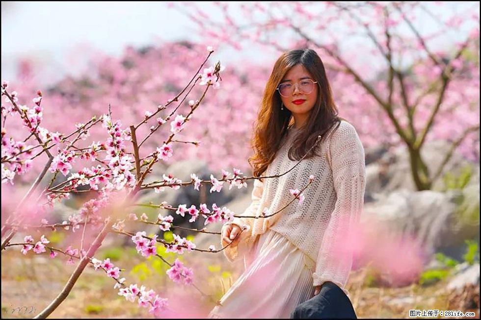 【春天,广西桂林灌阳县向您发出邀请!】望月岭上桃花开 - 游山玩水 - 哈密生活社区 - 哈密28生活网 hami.28life.com