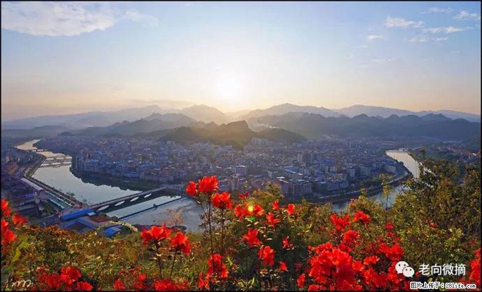 【春天,广西桂林灌阳县向您发出邀请!】登麒麟山,相约映山红 - 游山玩水 - 哈密生活社区 - 哈密28生活网 hami.28life.com