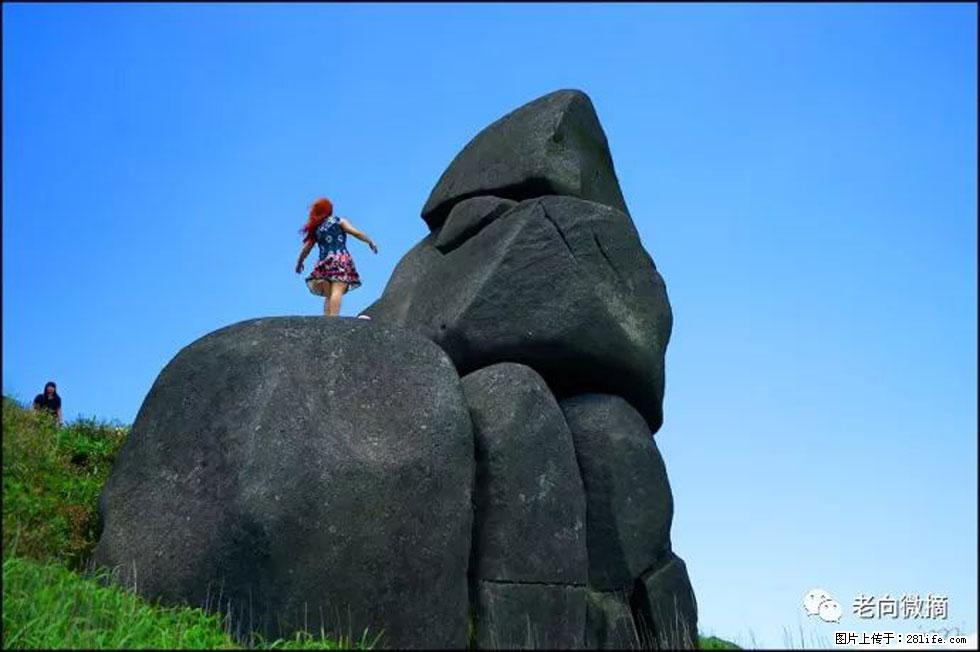 【春天,广西桂林灌阳县向您发出邀请!】宝盖山上映山红 - 游山玩水 - 哈密生活社区 - 哈密28生活网 hami.28life.com