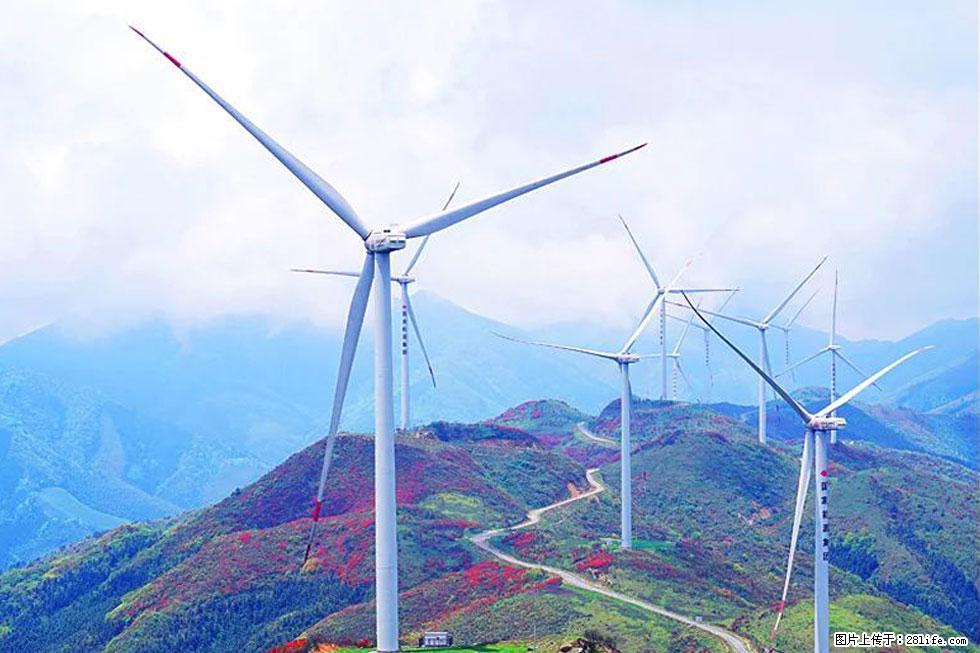 【春天,广西桂林灌阳县向您发出邀请!】春木界上映山红 - 游山玩水 - 哈密生活社区 - 哈密28生活网 hami.28life.com