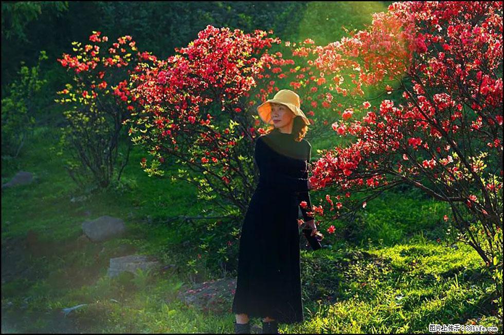 【春天,广西桂林灌阳县向您发出邀请!】春木界上映山红 - 游山玩水 - 哈密生活社区 - 哈密28生活网 hami.28life.com