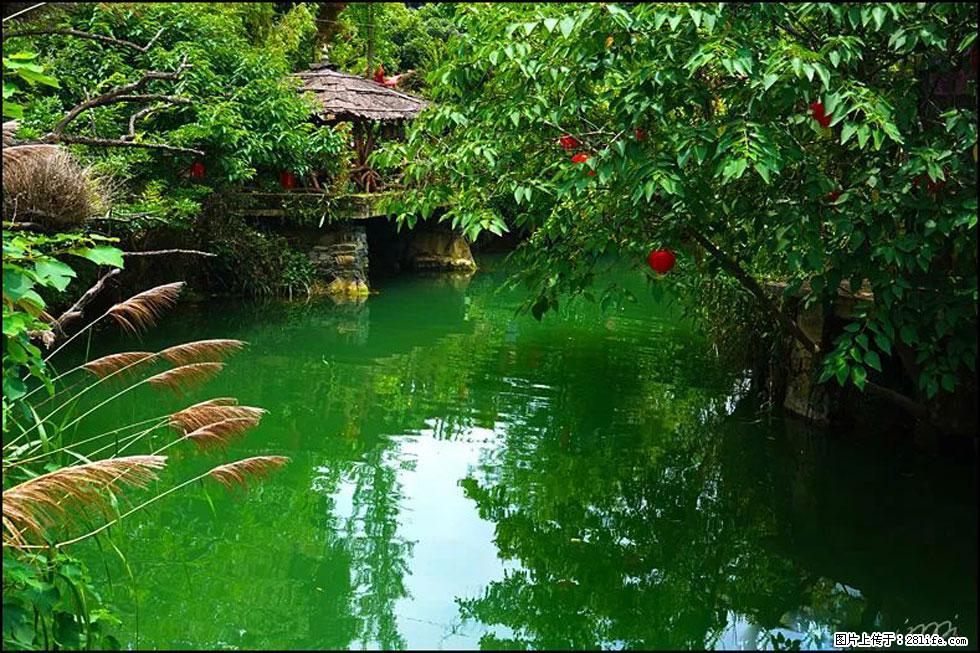【春天，广西桂林灌阳县向您发出邀请！】如梦似幻莲溪庐 - 游山玩水 - 哈密生活社区 - 哈密28生活网 hami.28life.com