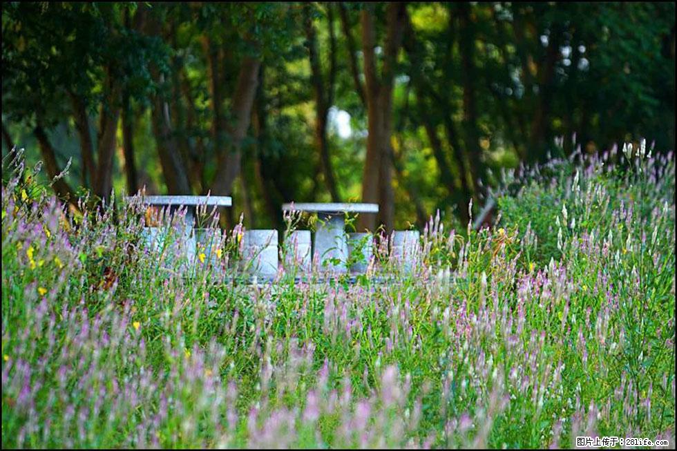 【春天,广西桂林灌阳县向您发出邀请!】熊家寨湿地公园 - 游山玩水 - 哈密生活社区 - 哈密28生活网 hami.28life.com