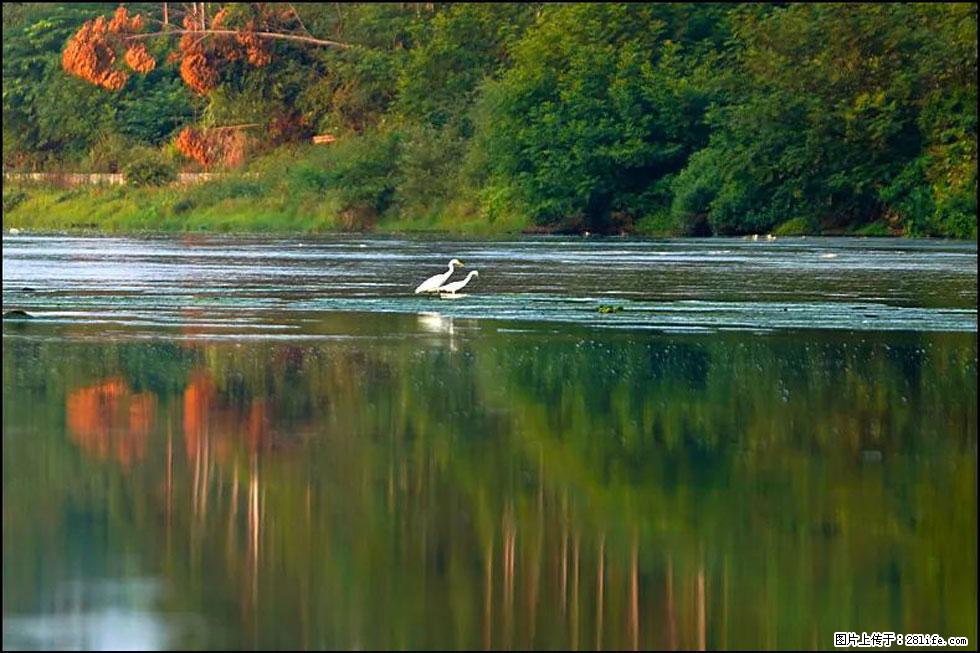 【春天,广西桂林灌阳县向您发出邀请!】熊家寨湿地公园 - 游山玩水 - 哈密生活社区 - 哈密28生活网 hami.28life.com