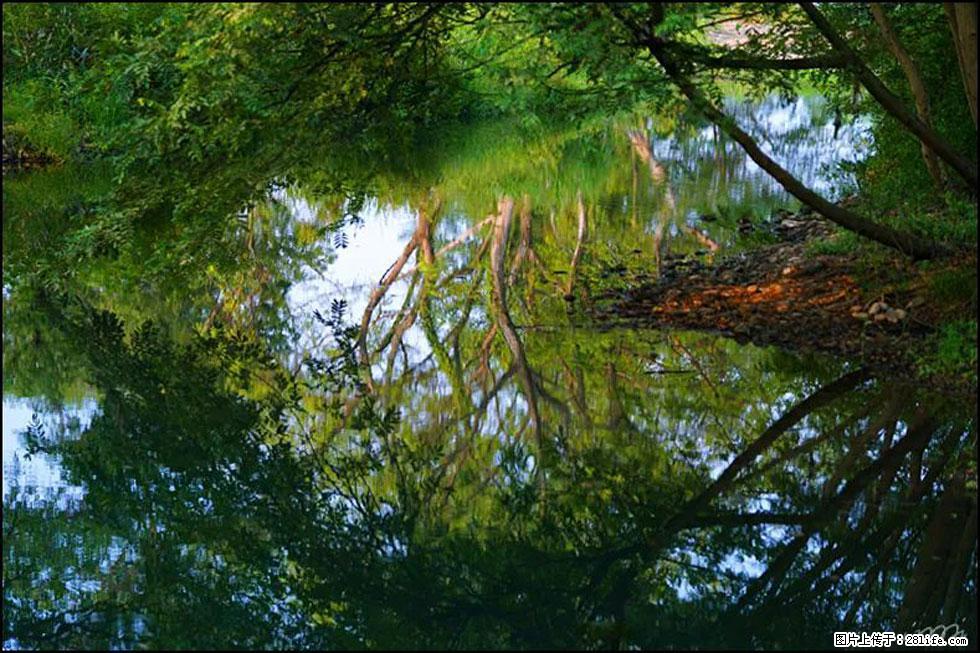 【春天,广西桂林灌阳县向您发出邀请!】熊家寨湿地公园 - 游山玩水 - 哈密生活社区 - 哈密28生活网 hami.28life.com