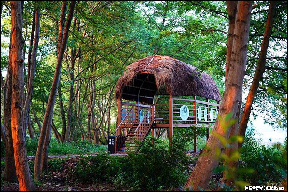 【春天,广西桂林灌阳县向您发出邀请!】熊家寨湿地公园 - 游山玩水 - 哈密生活社区 - 哈密28生活网 hami.28life.com