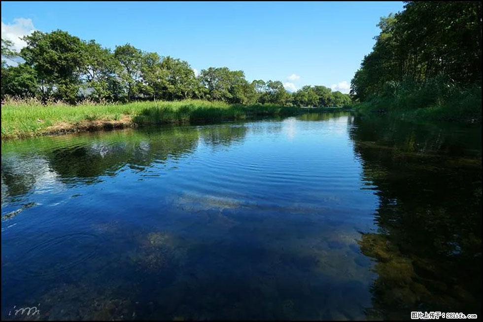 【春天,广西桂林灌阳县向您发出邀请!】熊家寨湿地公园 - 游山玩水 - 哈密生活社区 - 哈密28生活网 hami.28life.com