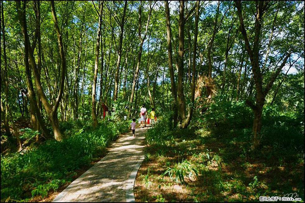 【春天,广西桂林灌阳县向您发出邀请!】熊家寨湿地公园 - 游山玩水 - 哈密生活社区 - 哈密28生活网 hami.28life.com