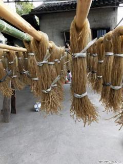 【灌阳正宗红薯粉】美女家里自己做的，干净卫生，假一赔十，价格合理，抢购电话：13737312895 - 哈密28生活网 hami.28life.com