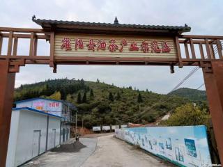 【灌阳县油茶产业示范区】一个有着充实的精神生活的人，对待身外之物自会有一种淡泊的态度 - 哈密28生活网 hami.28life.com