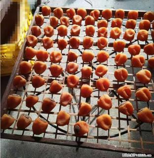 广西桂林平乐桥亭【柿饼之乡】2025年纯手工制作、无任何添加剂的第一批柿饼准备上市了，欢迎联系订购！ - 哈密28生活网 hami.28life.com