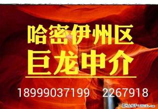 高铁小区81平5楼简装设施全900元拎包入住 江南中介 - 哈密28生活网 hami.28life.com