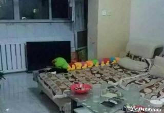 (单间出租)远通光明花园70平米拎包入住求合租 - 哈密28生活网 hami.28life.com