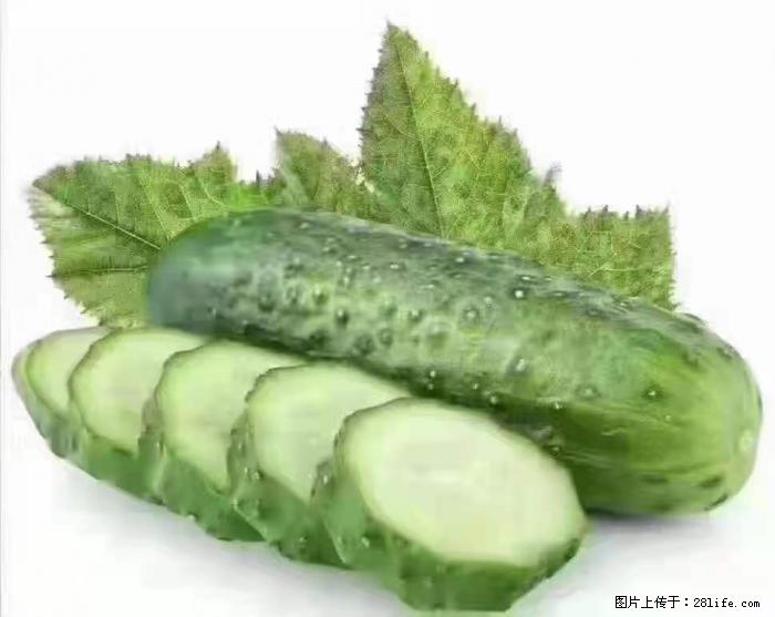 【生活小常识】吃黄瓜的好处 - 生活百科 - 哈密生活社区 - 哈密28生活网 hami.28life.com