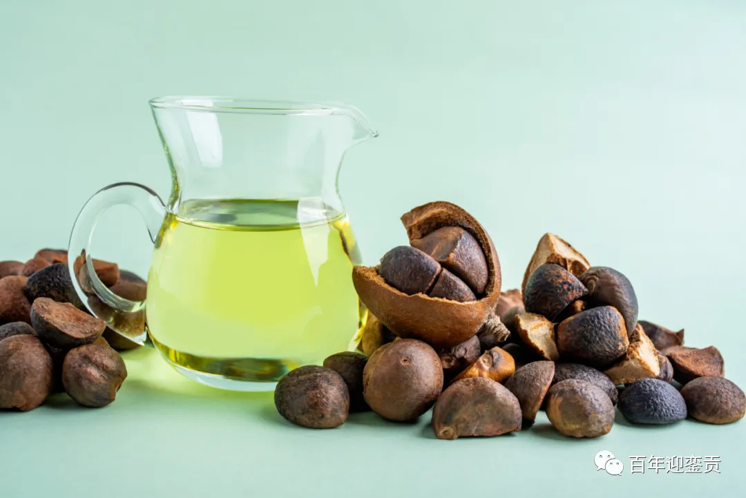 世界没有真相，只有认知，最好的食用油是中国的山茶油！ - 哈密生活资讯 - 哈密28生活网 hami.28life.com