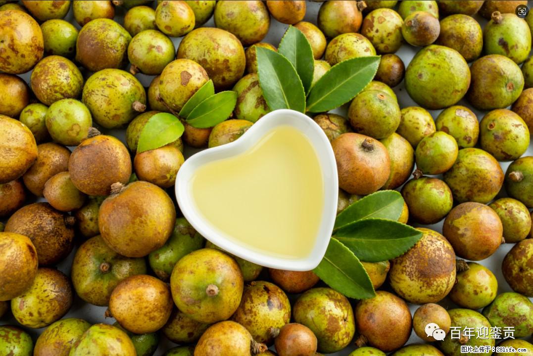 世界没有真相，只有认知，最好的食用油是中国的山茶油！ - 哈密生活资讯 - 哈密28生活网 hami.28life.com