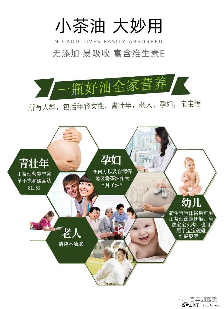 世界没有真相，只有认知，最好的食用油是中国的山茶油！ - 哈密生活资讯 - 哈密28生活网 hami.28life.com