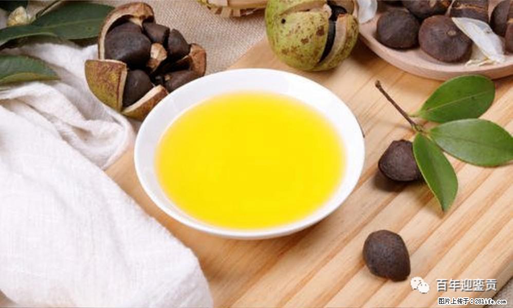 世界没有真相，只有认知，最好的食用油是中国的山茶油！ - 哈密生活资讯 - 哈密28生活网 hami.28life.com