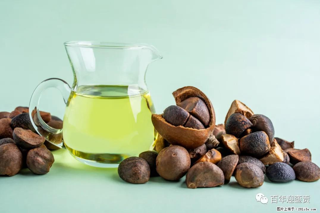世界没有真相，只有认知，最好的食用油是中国的山茶油！ - 哈密生活资讯 - 哈密28生活网 hami.28life.com