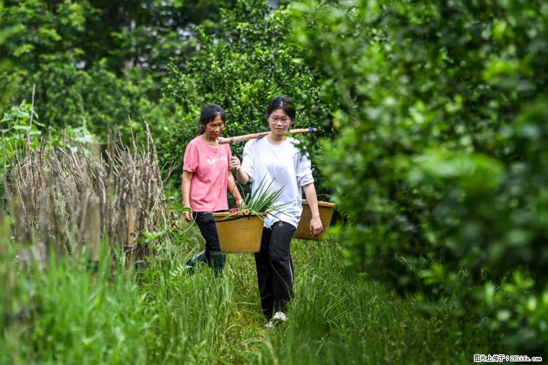 全网追的“扁担女孩”,找了一份暑假工,时薪12元 - 哈密生活资讯 - 哈密28生活网 hami.28life.com