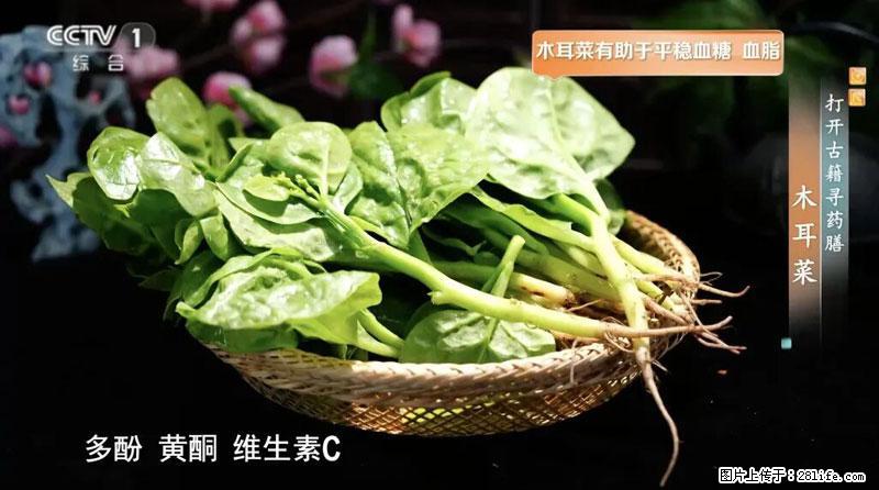 比牛奶补钙还厉害!凉血解毒、稳血糖...这菜冬天必吃,很多人却当草 - 哈密生活资讯 - 哈密28生活网 hami.28life.com