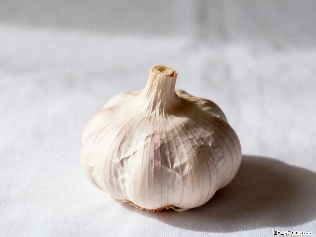 关于大蒜，除了“天然抗生素”，这4个谣言更该警惕! - 哈密生活资讯 - 哈密28生活网 hami.28life.com