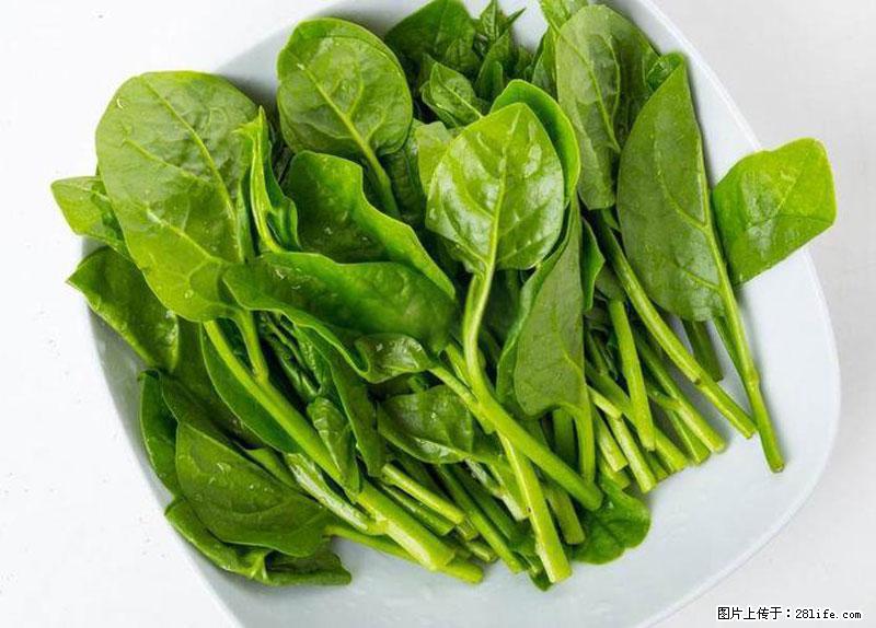 这些蔬菜是“天然钙片”，这6种被医生重点推荐 - 哈密生活资讯 - 哈密28生活网 hami.28life.com